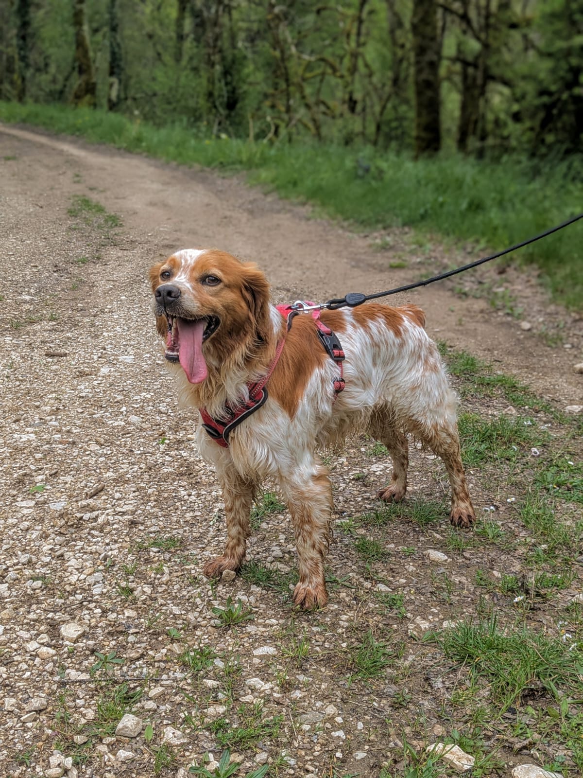 Whatsapp image 2025 04 20 at 17 37 11