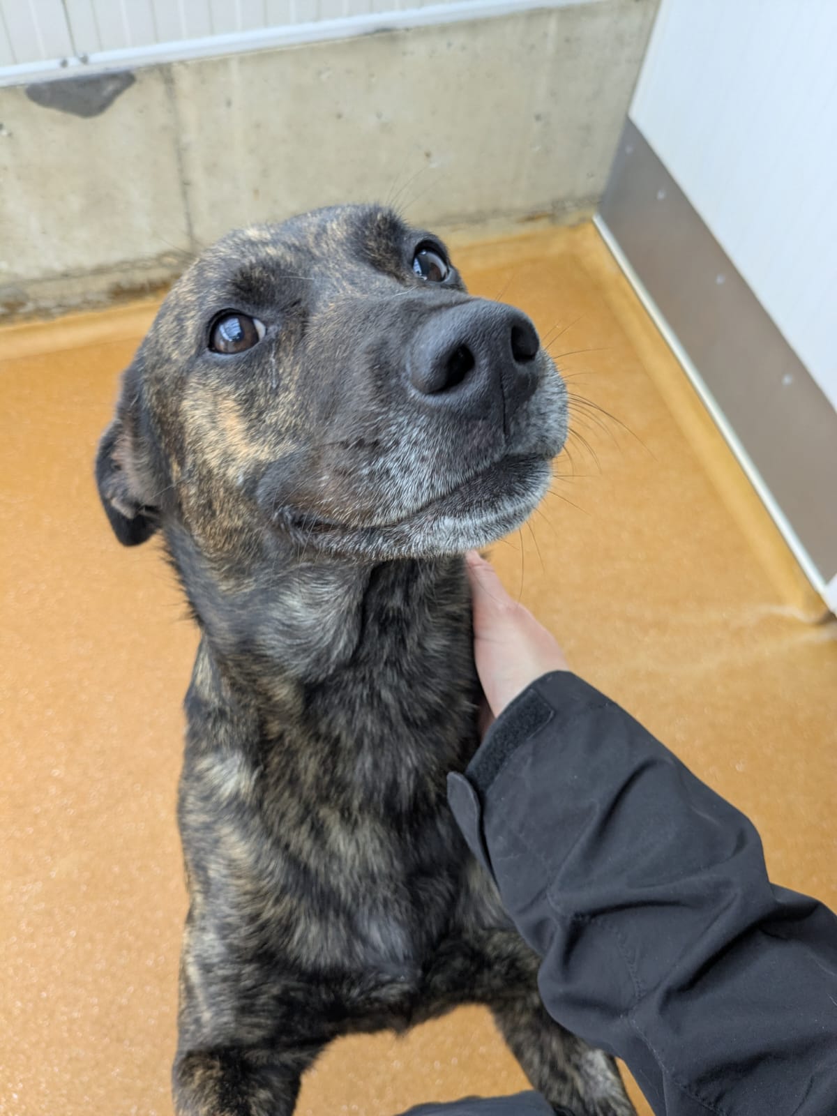 Whatsapp image 2025 06 12 at 09 58 47 1 