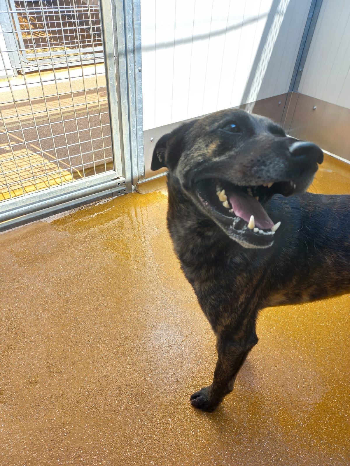 Whatsapp image 2025 06 13 at 16 18 16