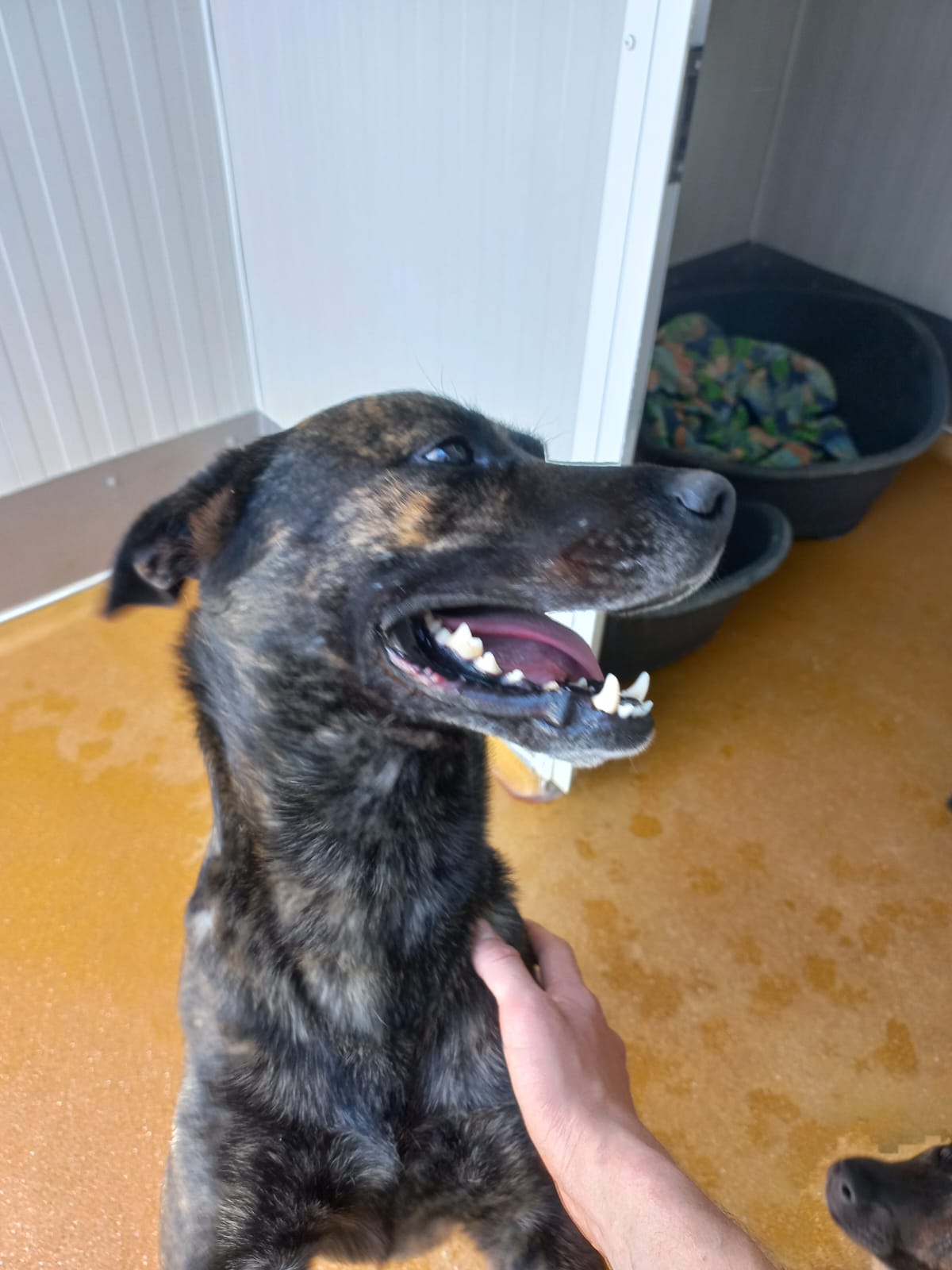 Whatsapp image 2025 06 13 at 16 18 16 1 