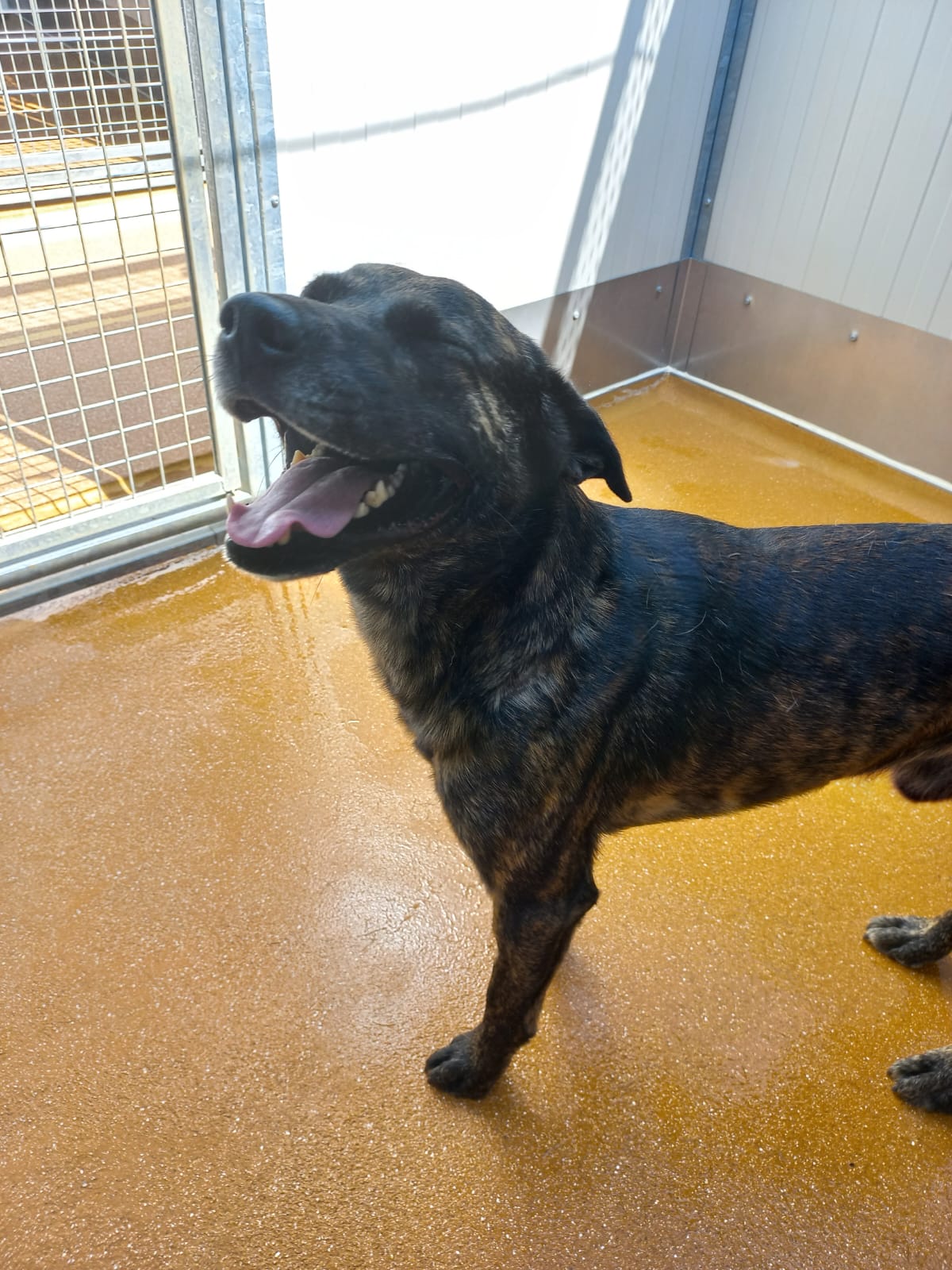 Whatsapp image 2025 06 13 at 16 18 09