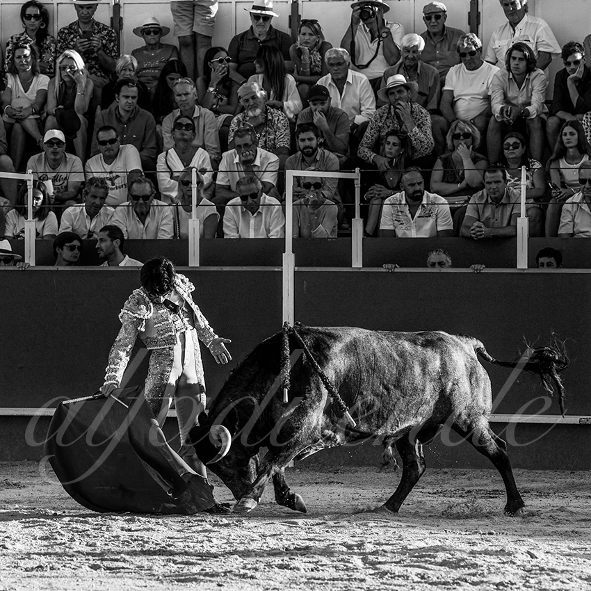 20220702 boujan sur libron 002