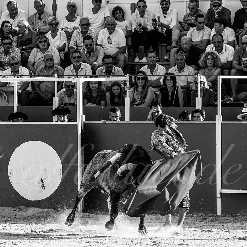 20220702 boujan sur libron 005