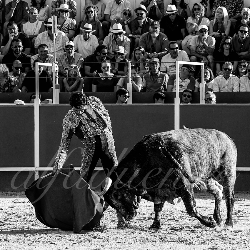 20220702 boujan sur libron 007