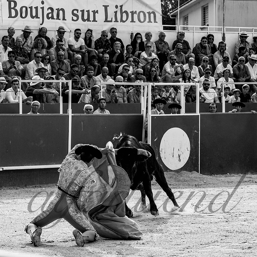 20220703 boujan sur libron 004