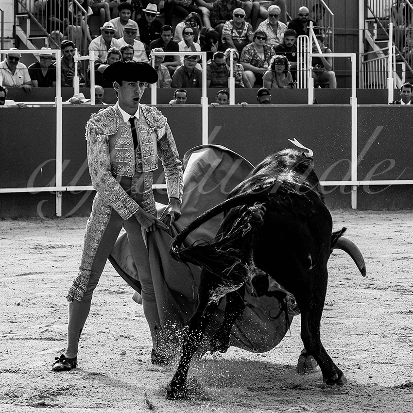 20220703 boujan sur libron 005