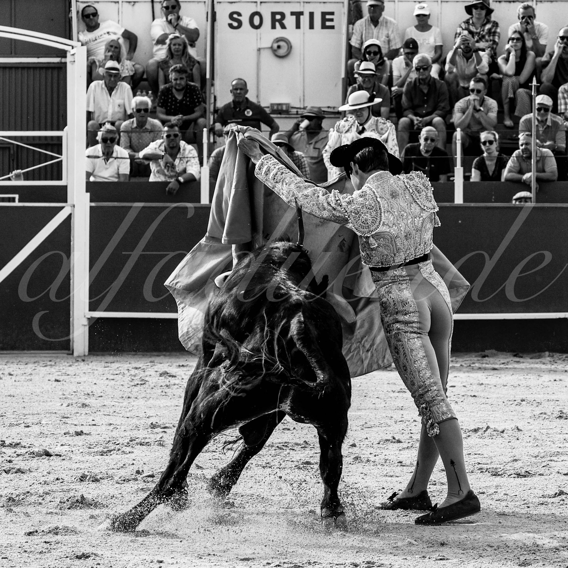 20220703 boujan sur libron 006