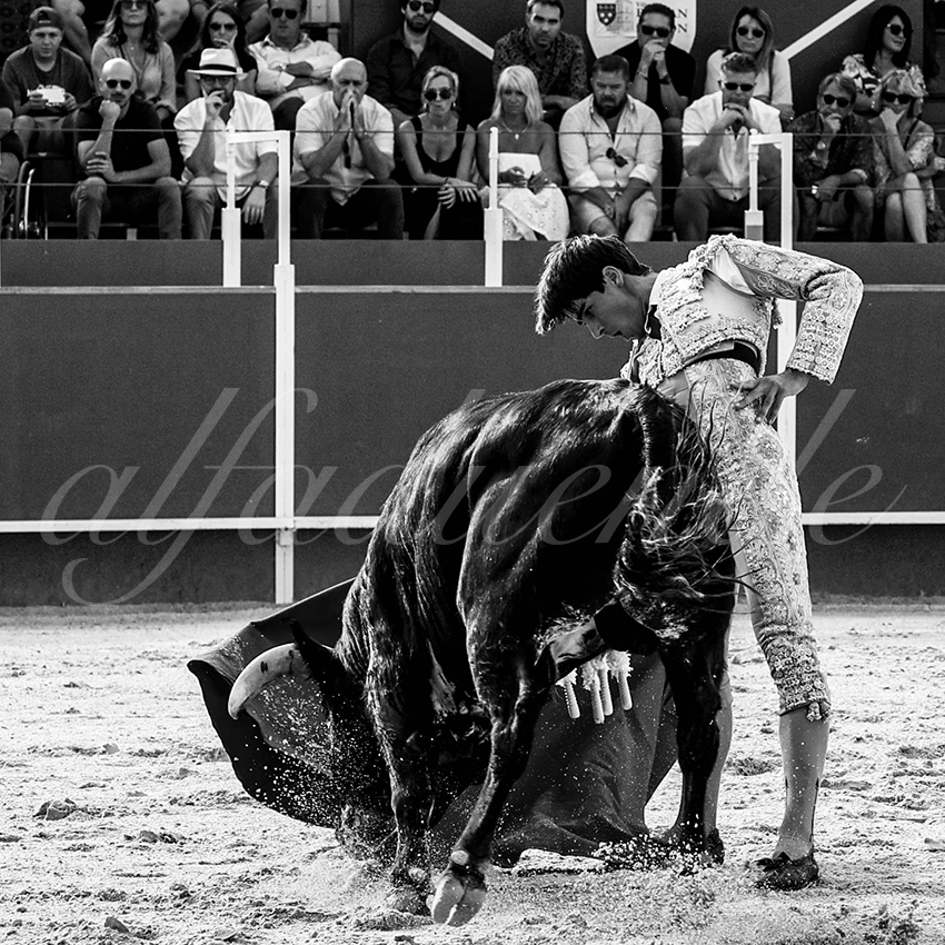 20220703 boujan sur libron 009