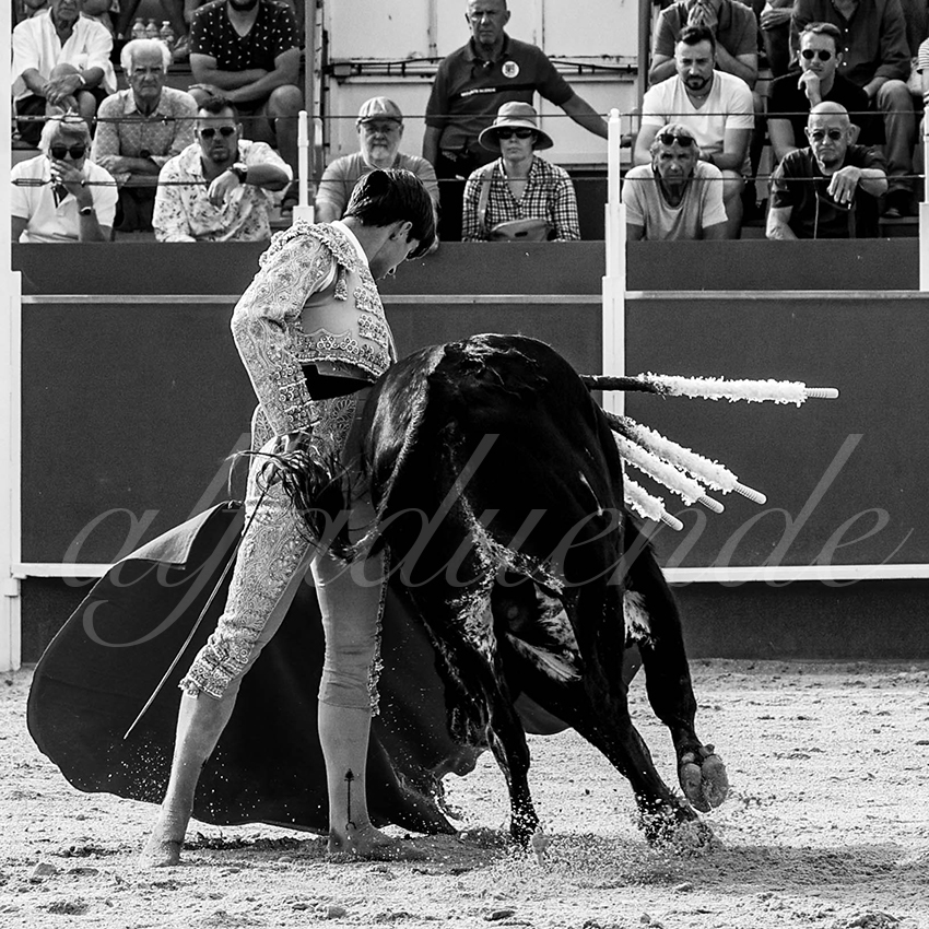 20220703 boujan sur libron 010