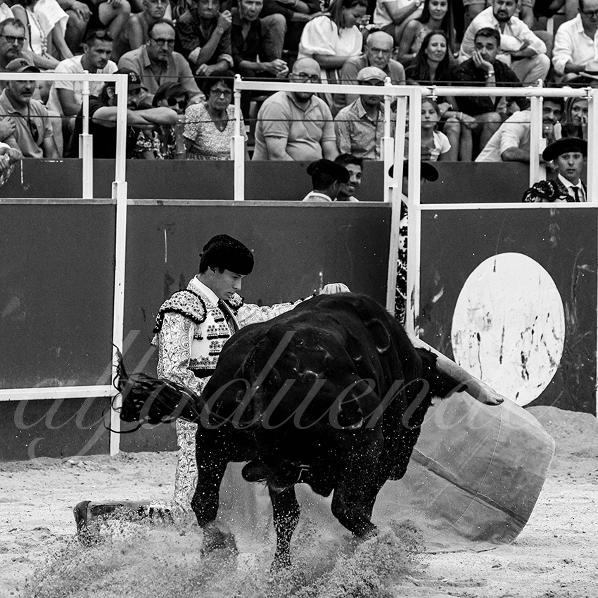 20220703 boujan sur libron 013