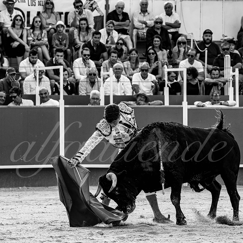 20220703 boujan sur libron 016