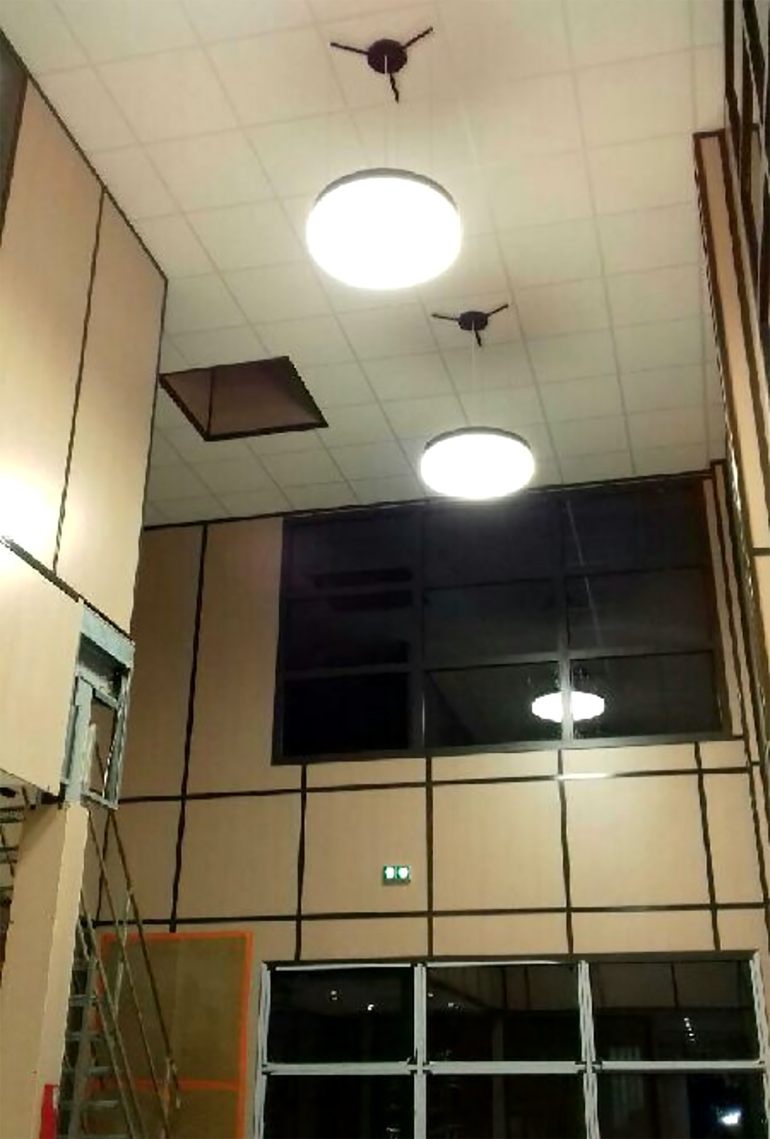 Web img 1155