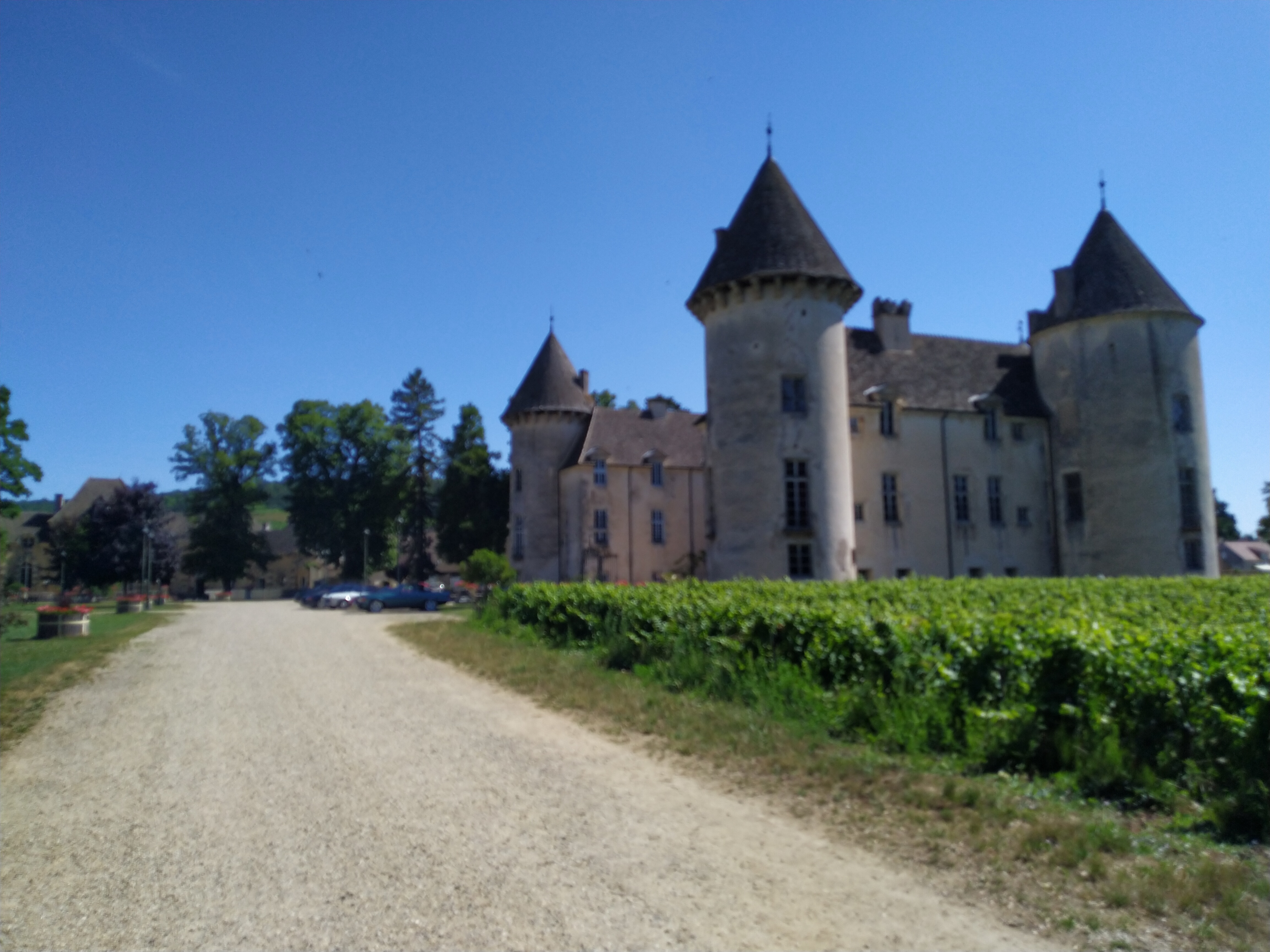 2 chateau de savigny les beaune 17 