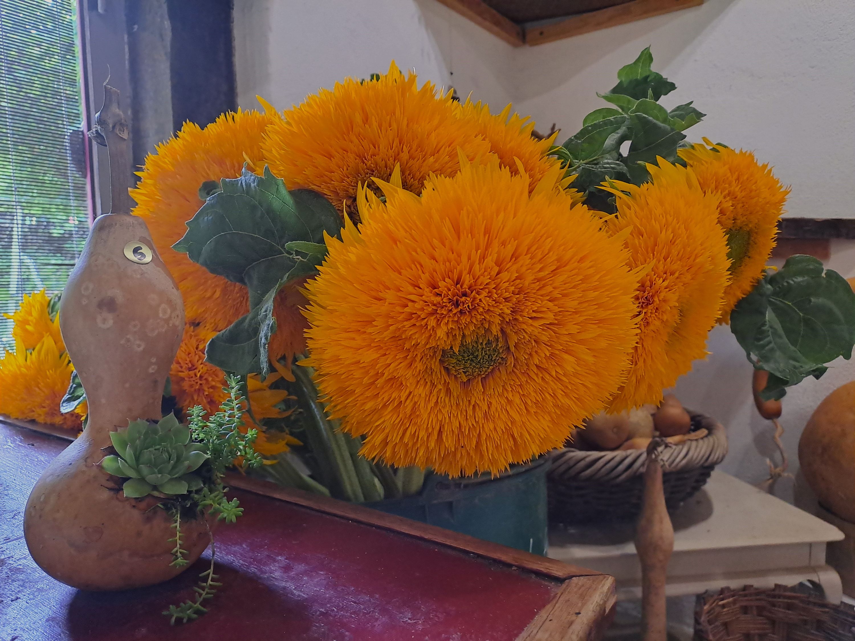 20250727 110252b web