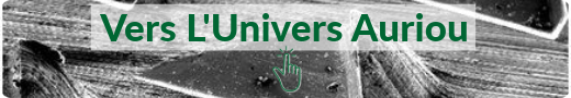 Bouton-univers-base