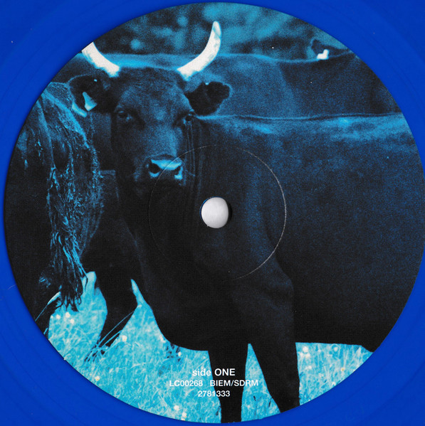 R 3192435 1622133114 6846