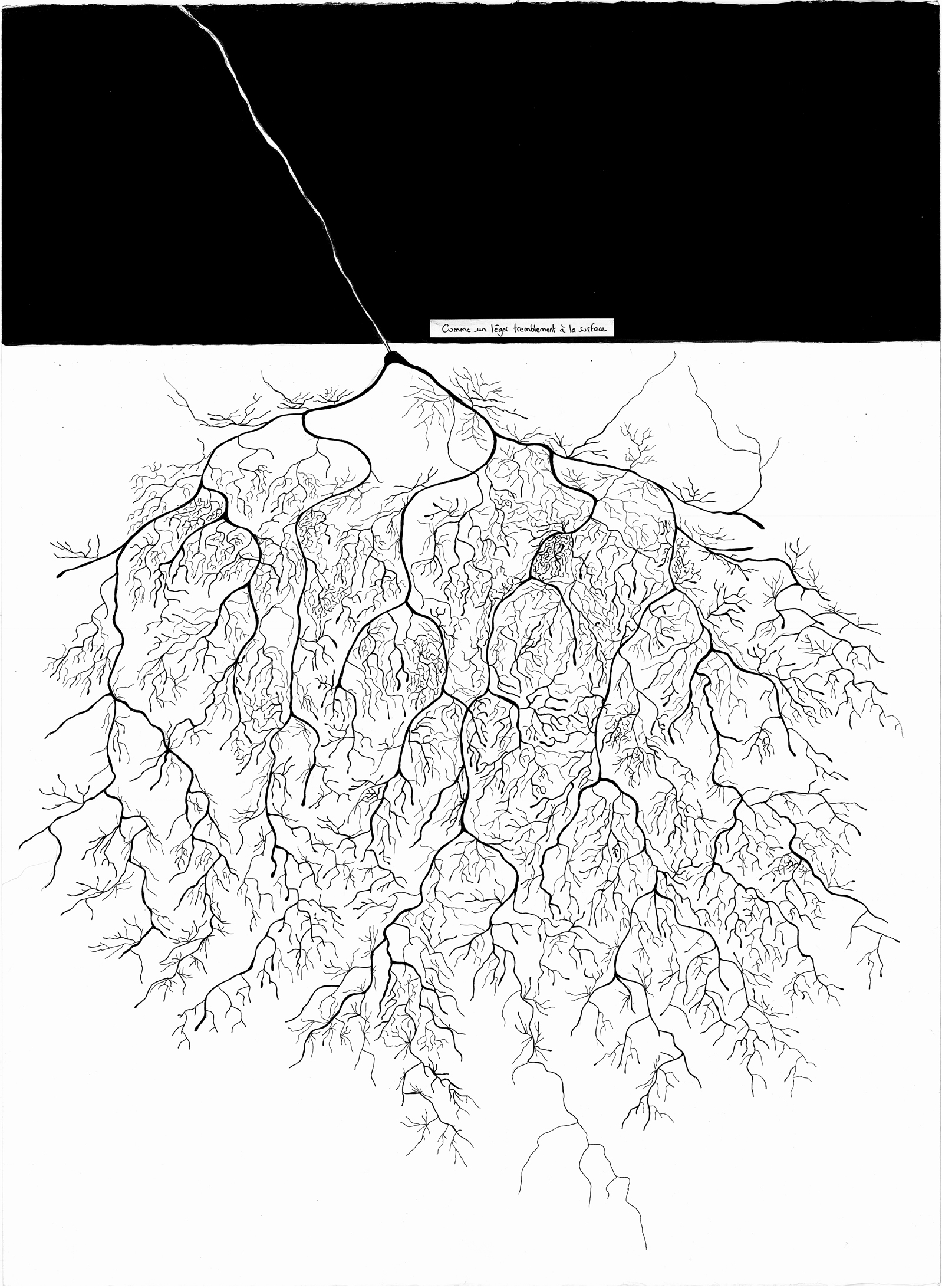 04 comme un leger tremblement