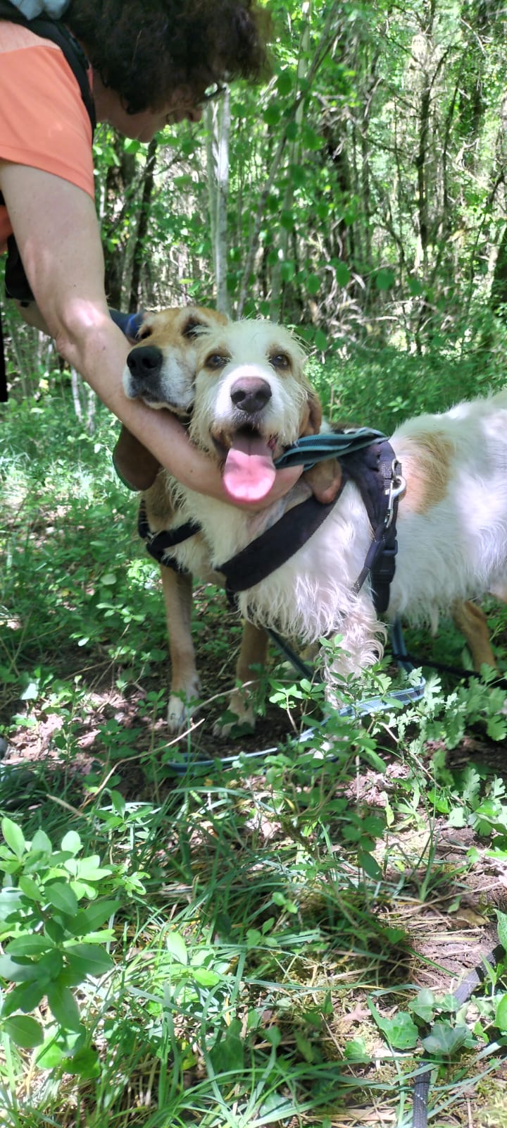 Whatsapp image 2025 05 18 at 18 46 44