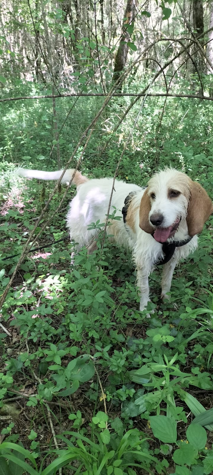 Whatsapp image 2025 05 18 at 18 46 43