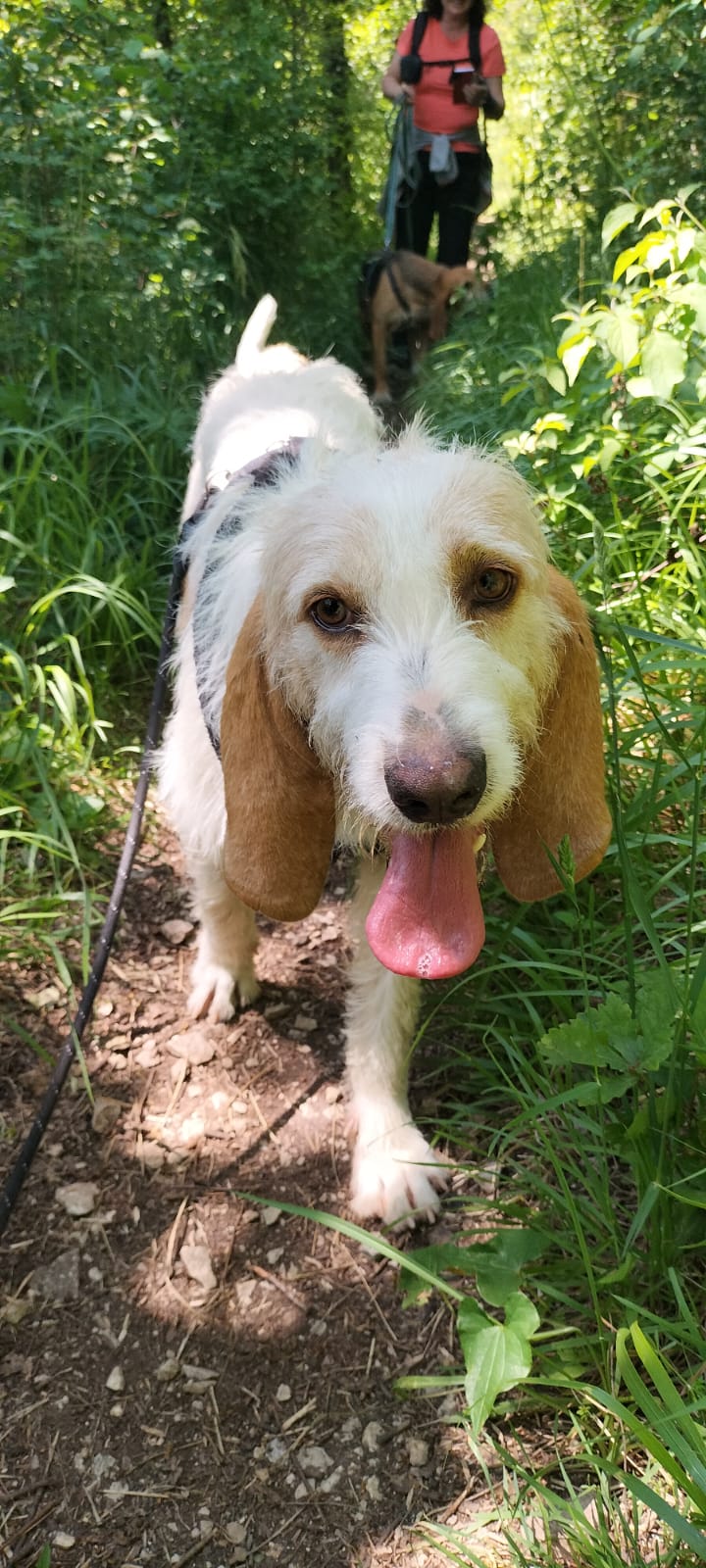 Whatsapp image 2025 05 18 at 18 46 35