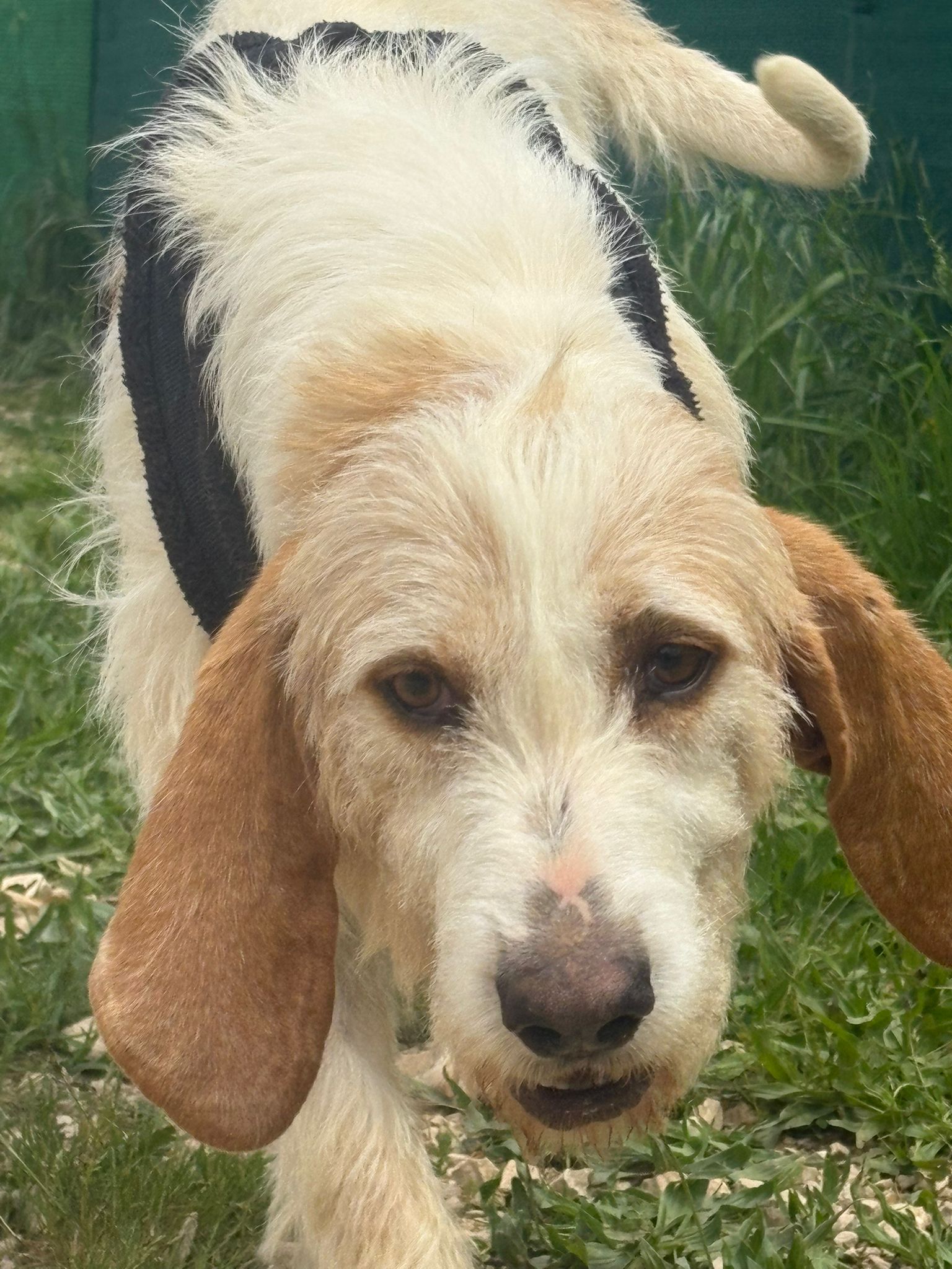 Whatsapp image 2025 05 07 at 03 44 25 1 