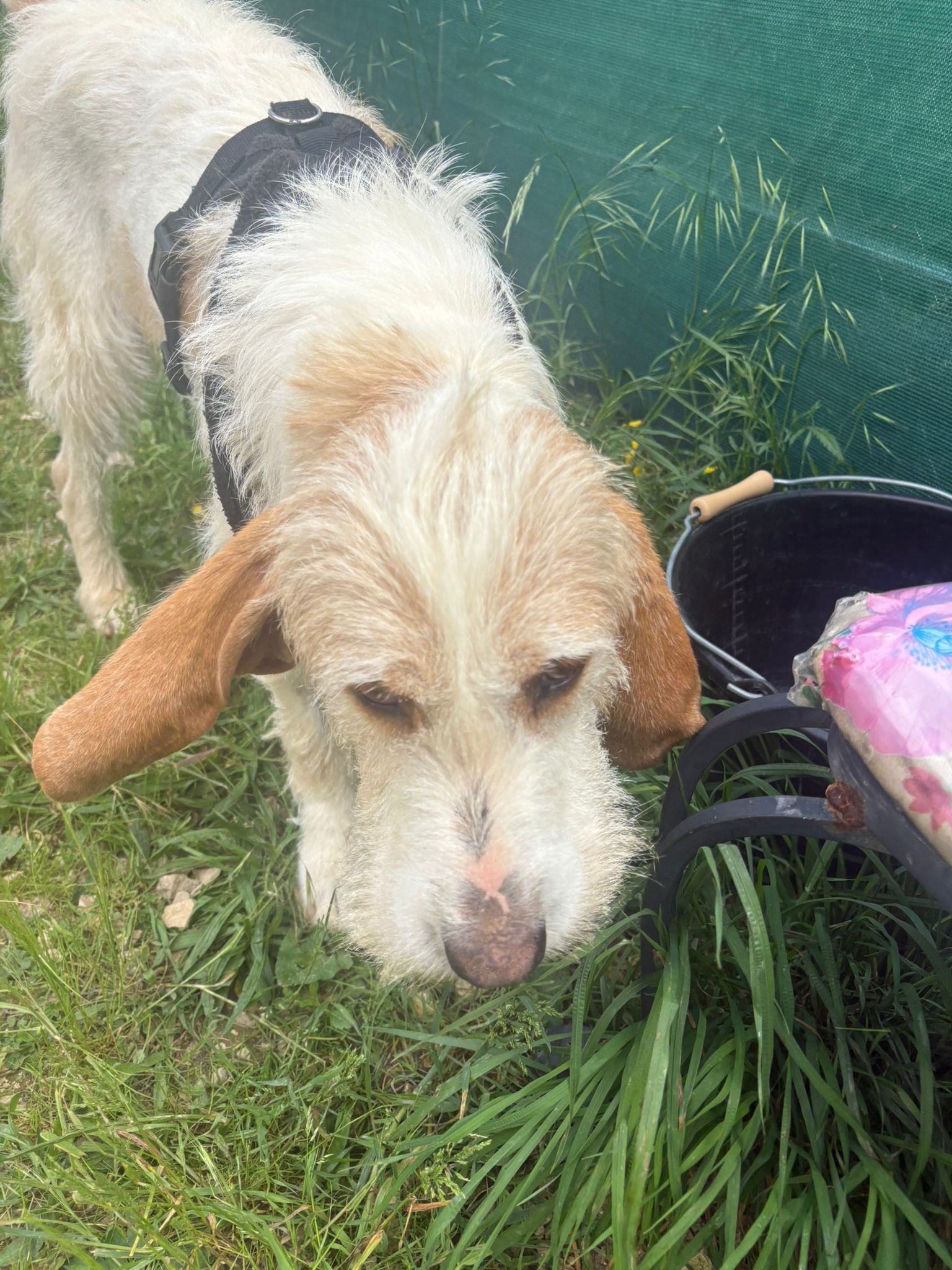 Whatsapp image 2025 05 07 at 03 44 24 4 