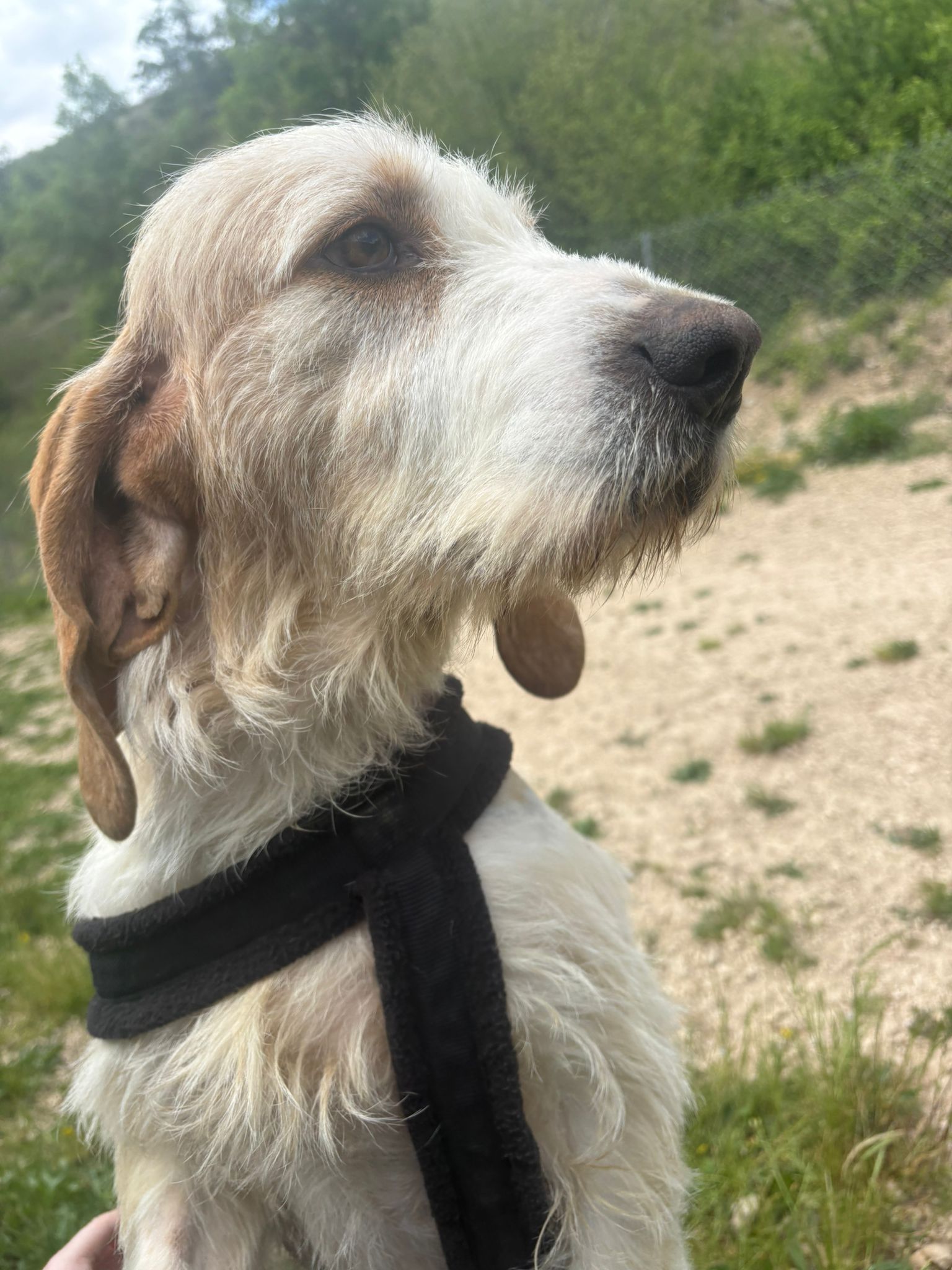 Whatsapp image 2025 05 07 at 03 44 24 3 