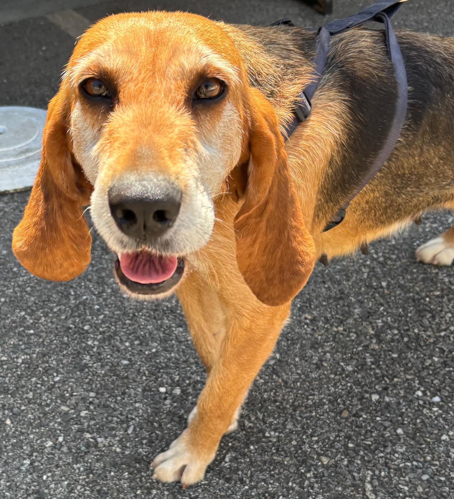 Whatsapp image 2025 05 19 at 00 04 51