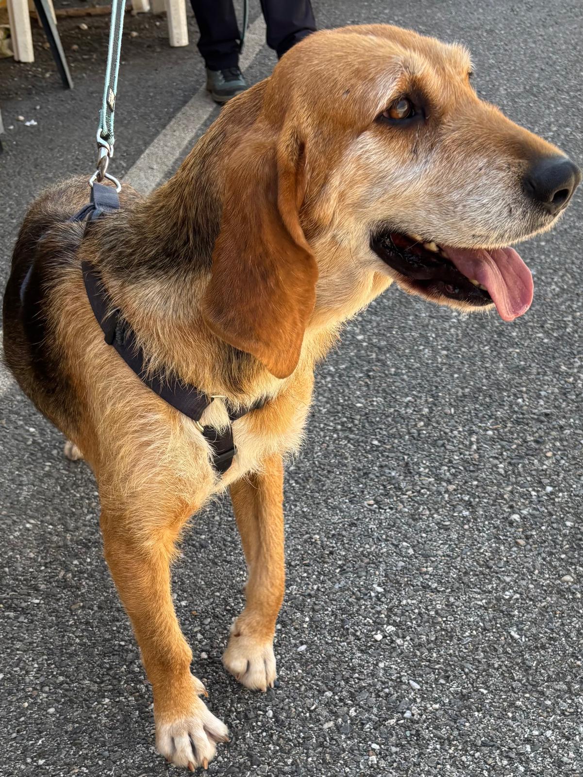 Whatsapp image 2025 05 19 at 00 04 51 2 