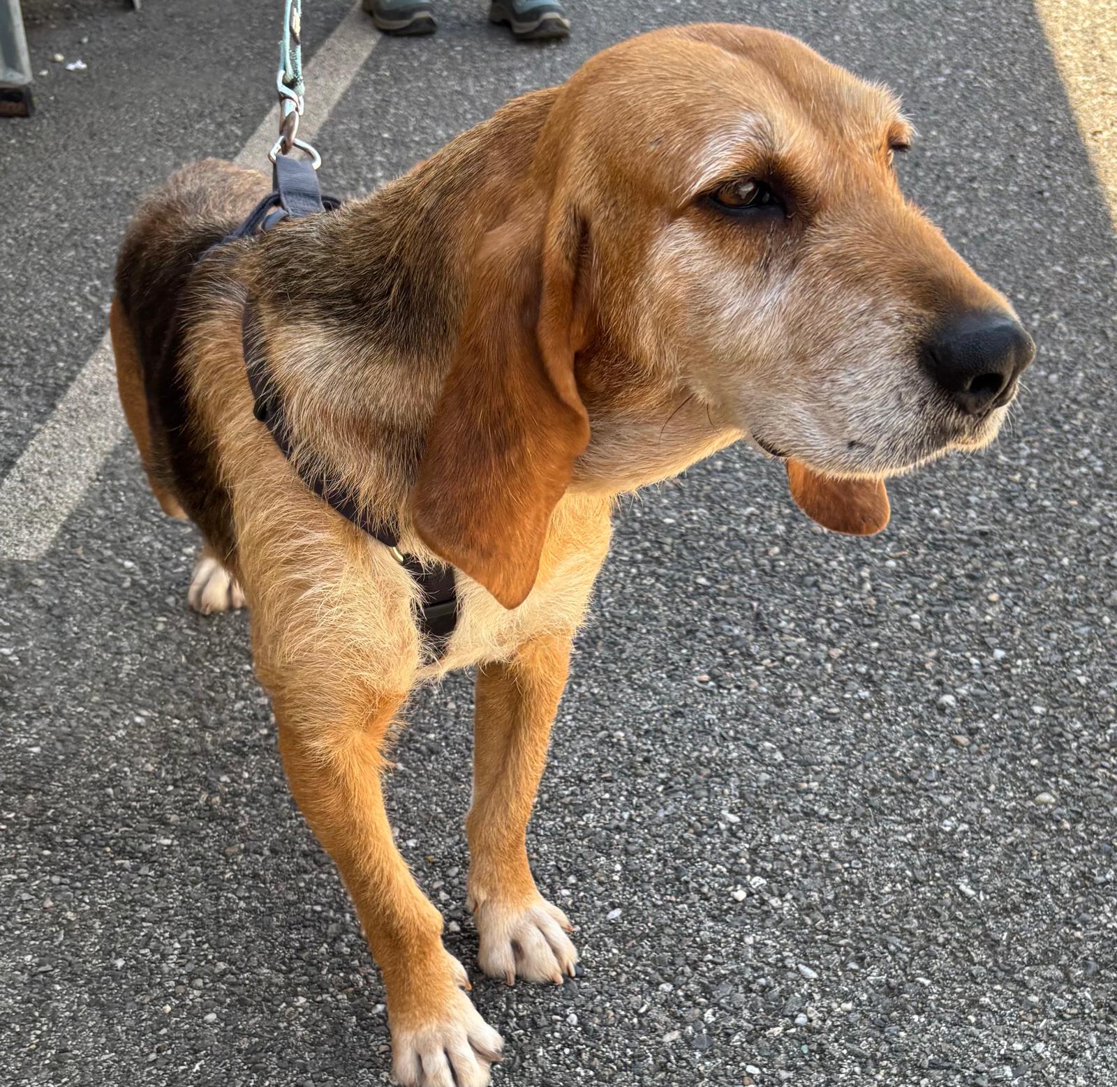 Whatsapp image 2025 05 19 at 00 04 51 1 