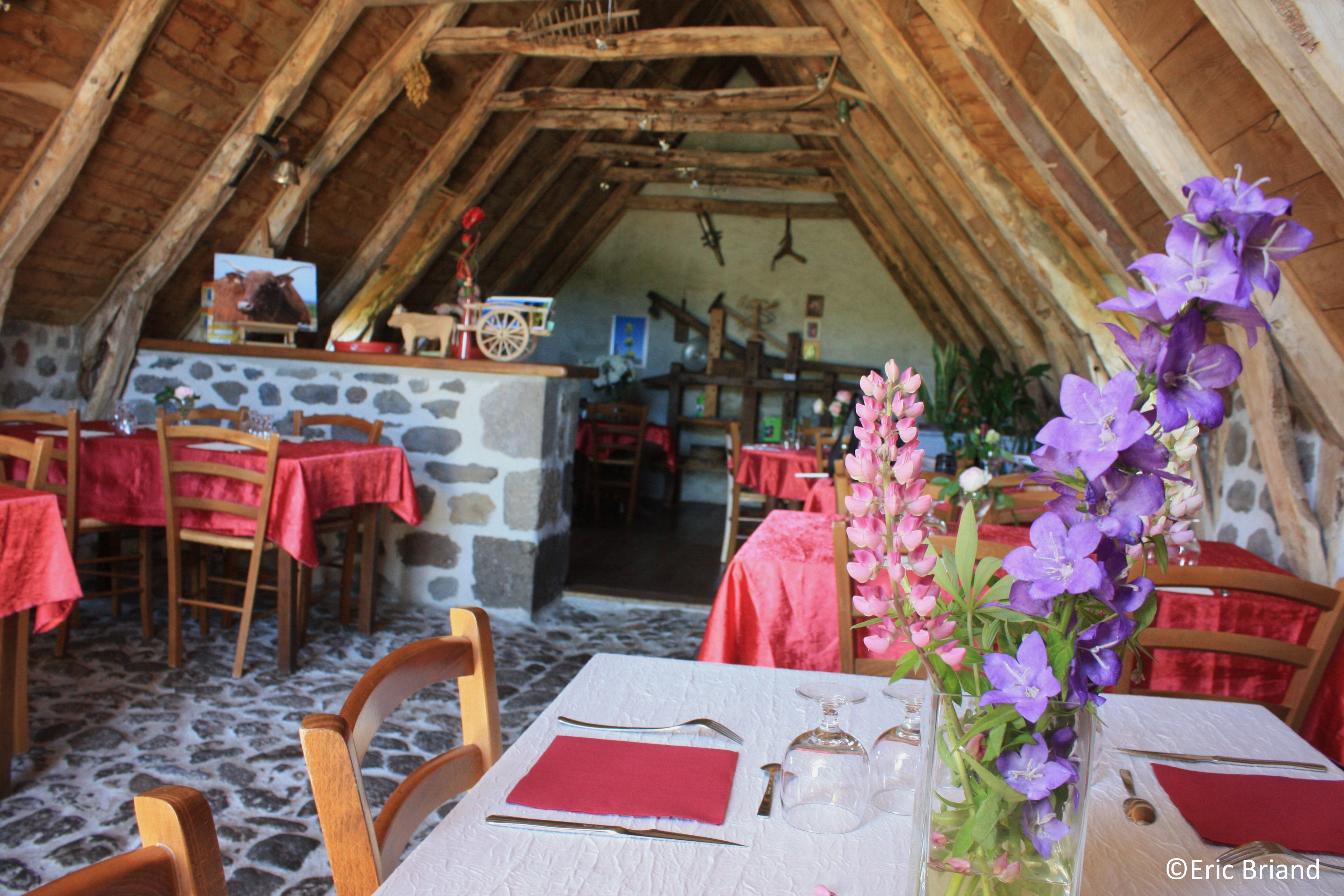 Cantal juillet 2013 526