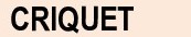 Criquet