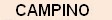 Campino