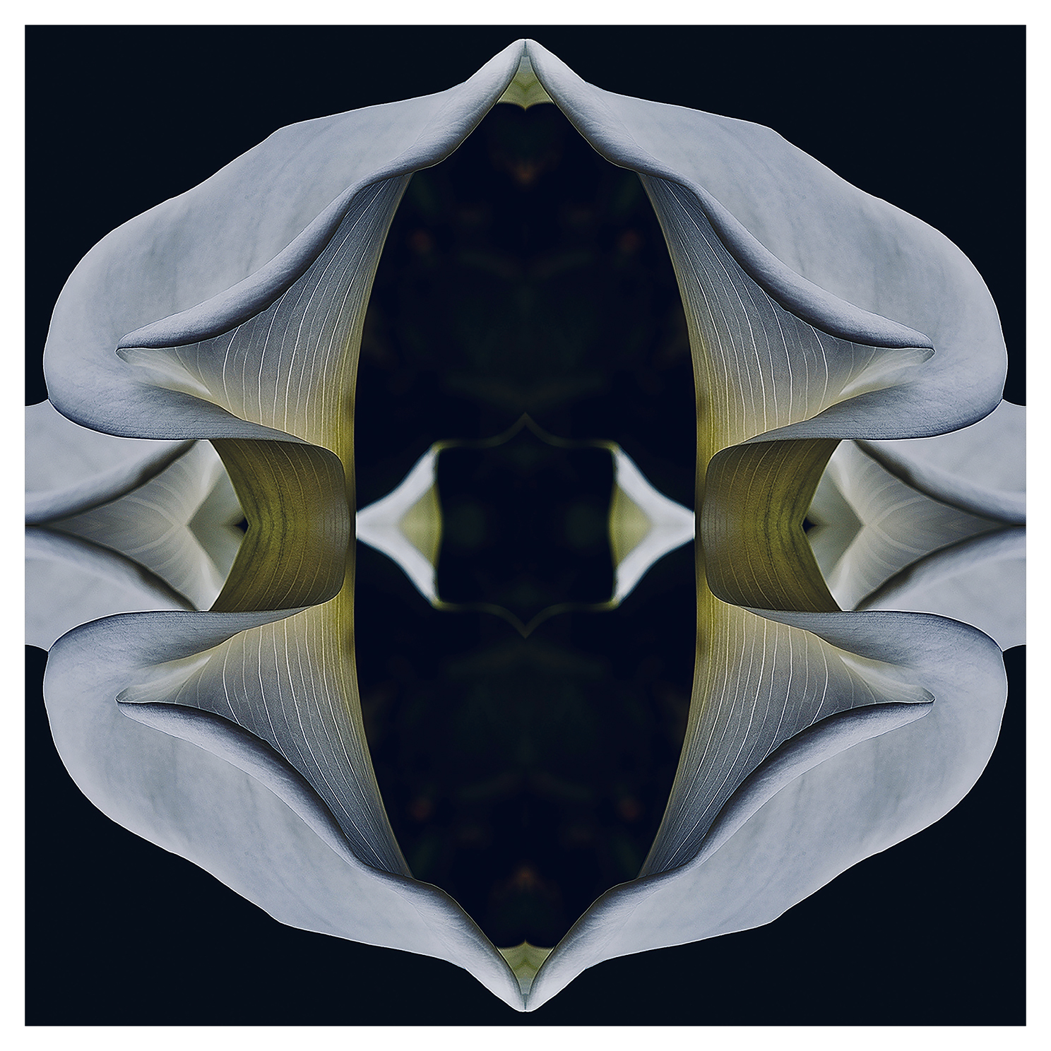 Gf arum de synthese