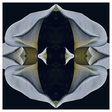 Pf arum de synthese