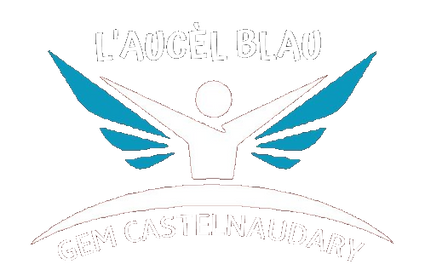 Logo-castel-ok-fini