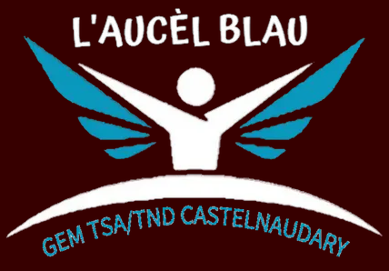 Logo-castel-dimensions-reduites