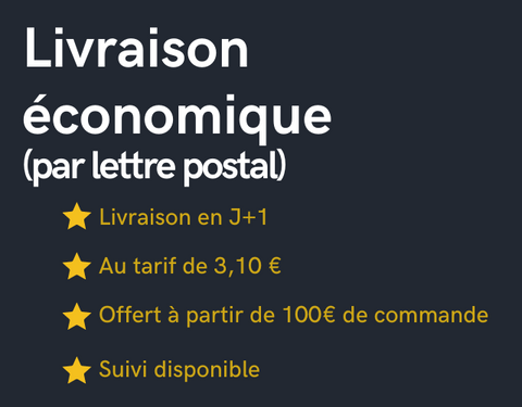Orange-et-Jaune-Professionnel-Degrade-Animaux-de-compagnie-Fitness-Application-Integration-Diaporama-Playbook-Culture-320-250-px-5-