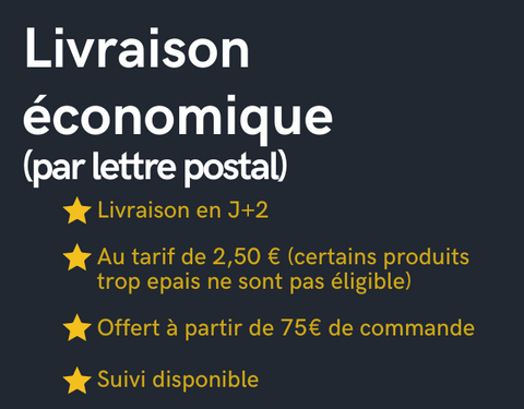 Orange-et-Jaune-Professionnel-Degrade-Animaux-de-compagnie-Fitness-Application-Integration-Diaporama-Playbook-Culture-320-250-px-4-