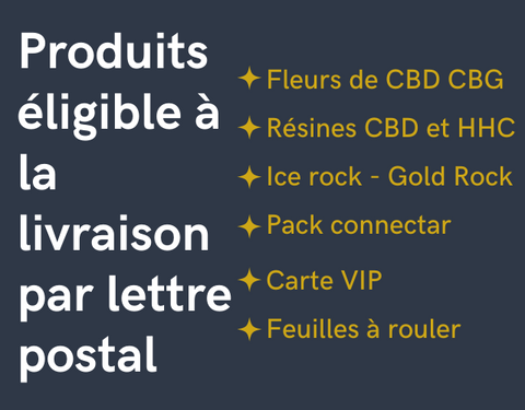 Orange-et-Jaune-Professionnel-Degrade-Animaux-de-compagnie-Fitness-Application-Integration-Diaporama-Playbook-Culture-320-250-px-6-