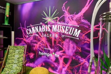 "cannabis muséum"