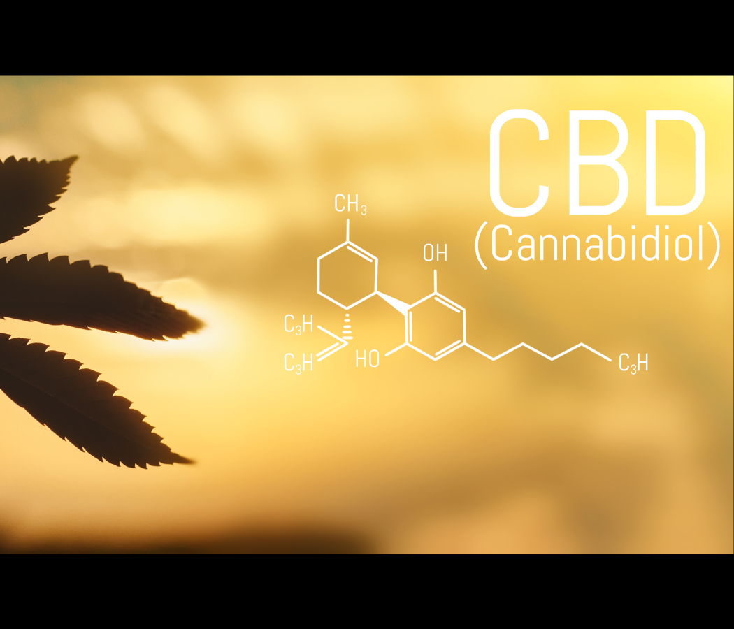 Combien de temps le CBD reste-t-il dans votre organisme ?