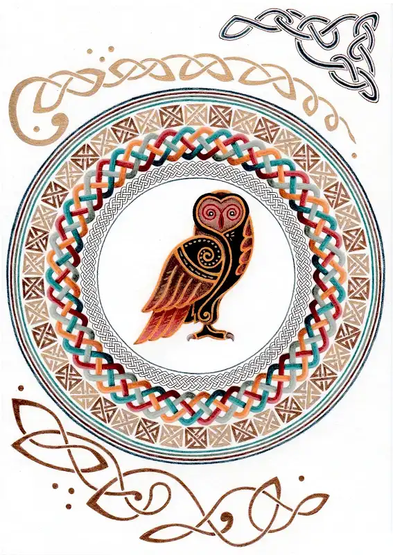 2022 06 celtik hibou