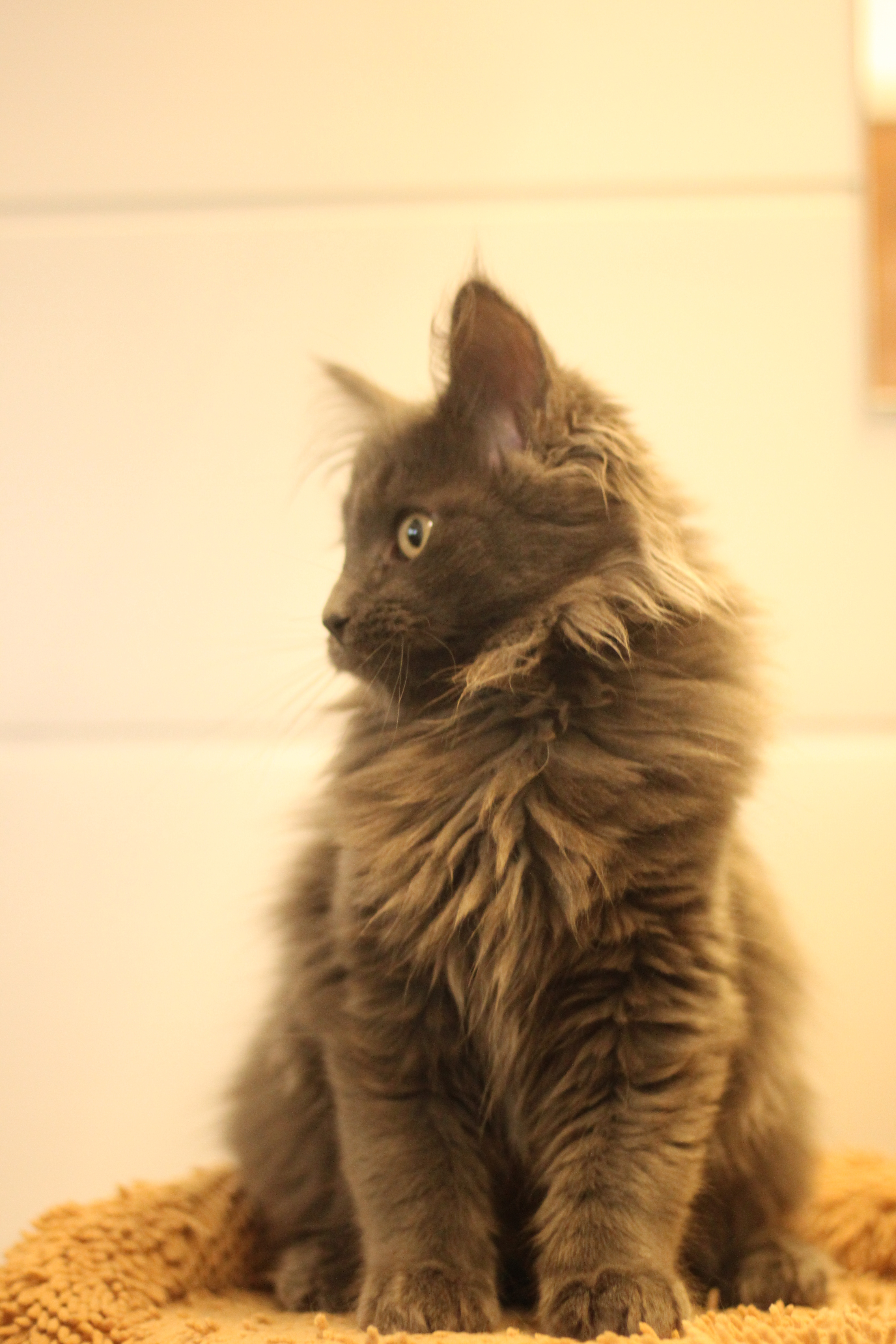 Naissance du 17 juillet 2025