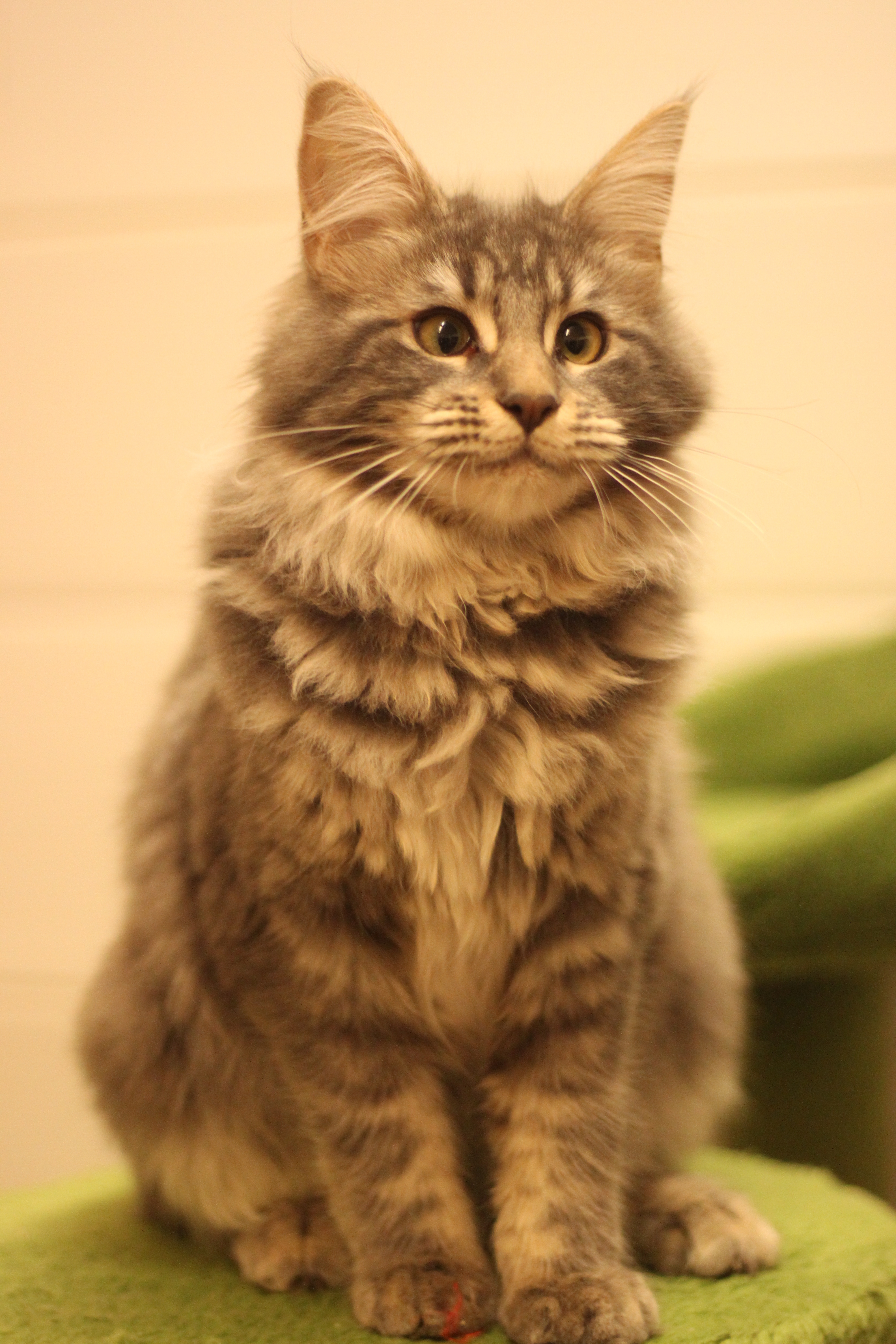 Naissance du 17 juillet 2025