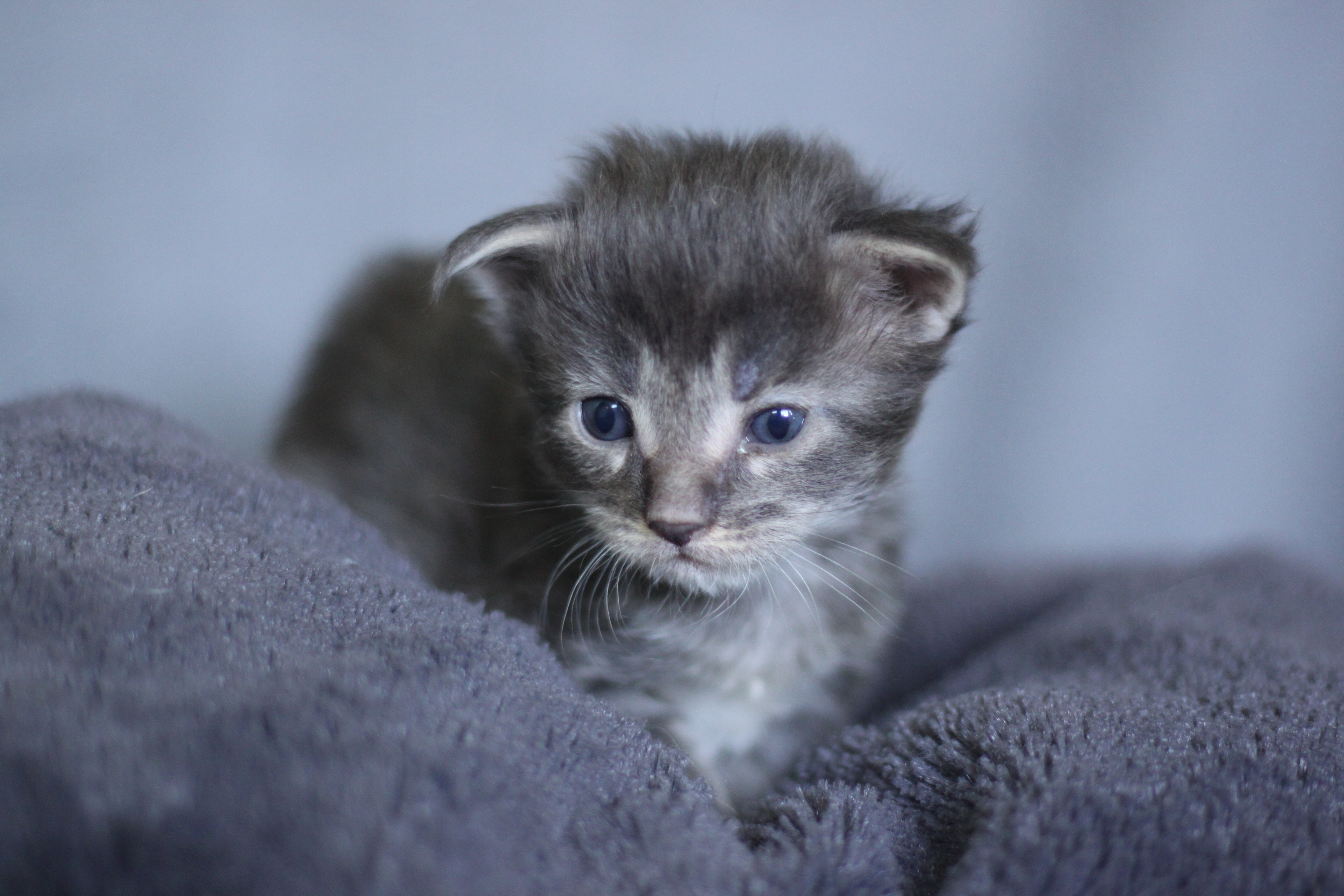 Naissance du 22 mars 2026