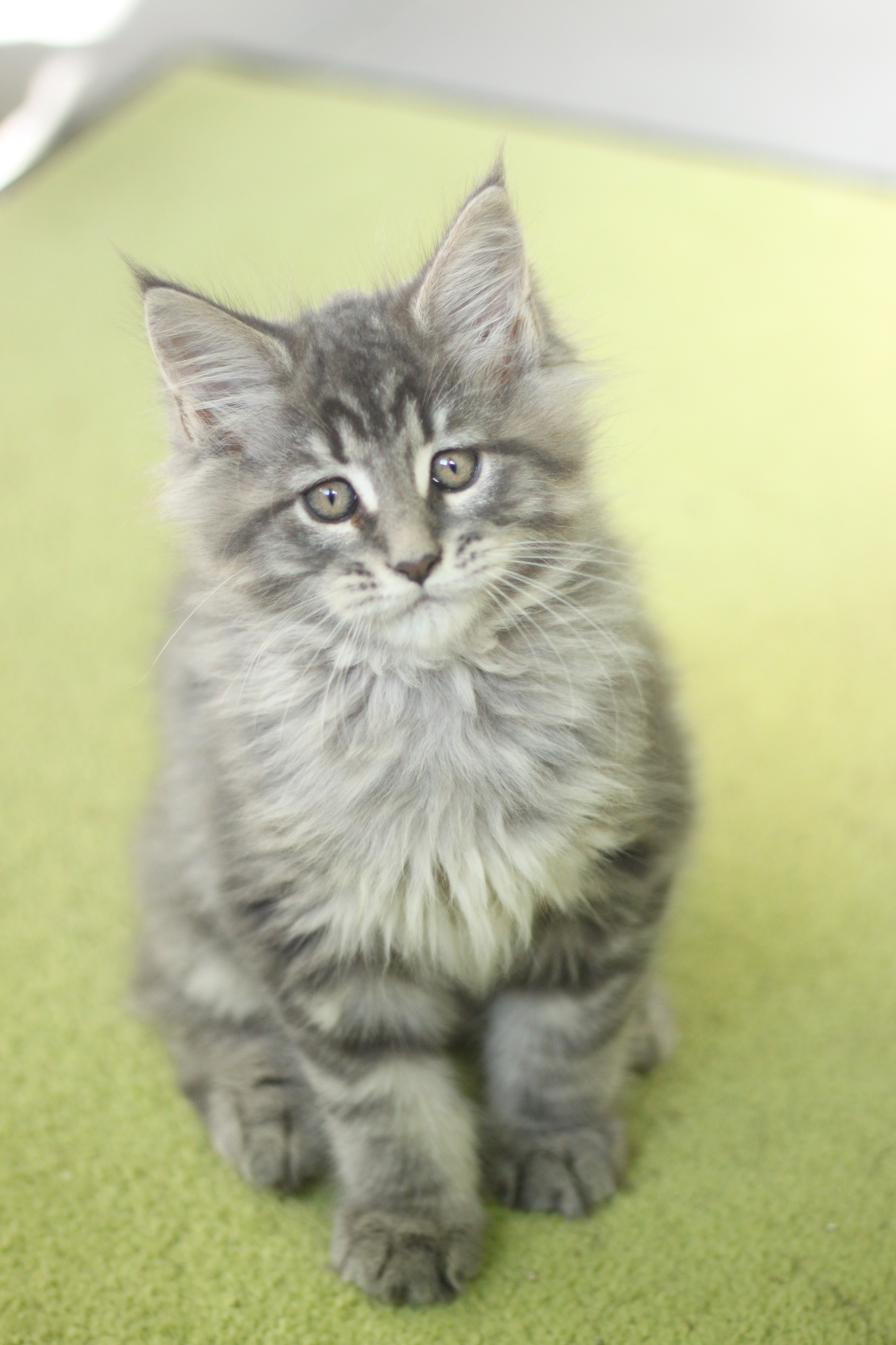 Naissance du 5 août 2025