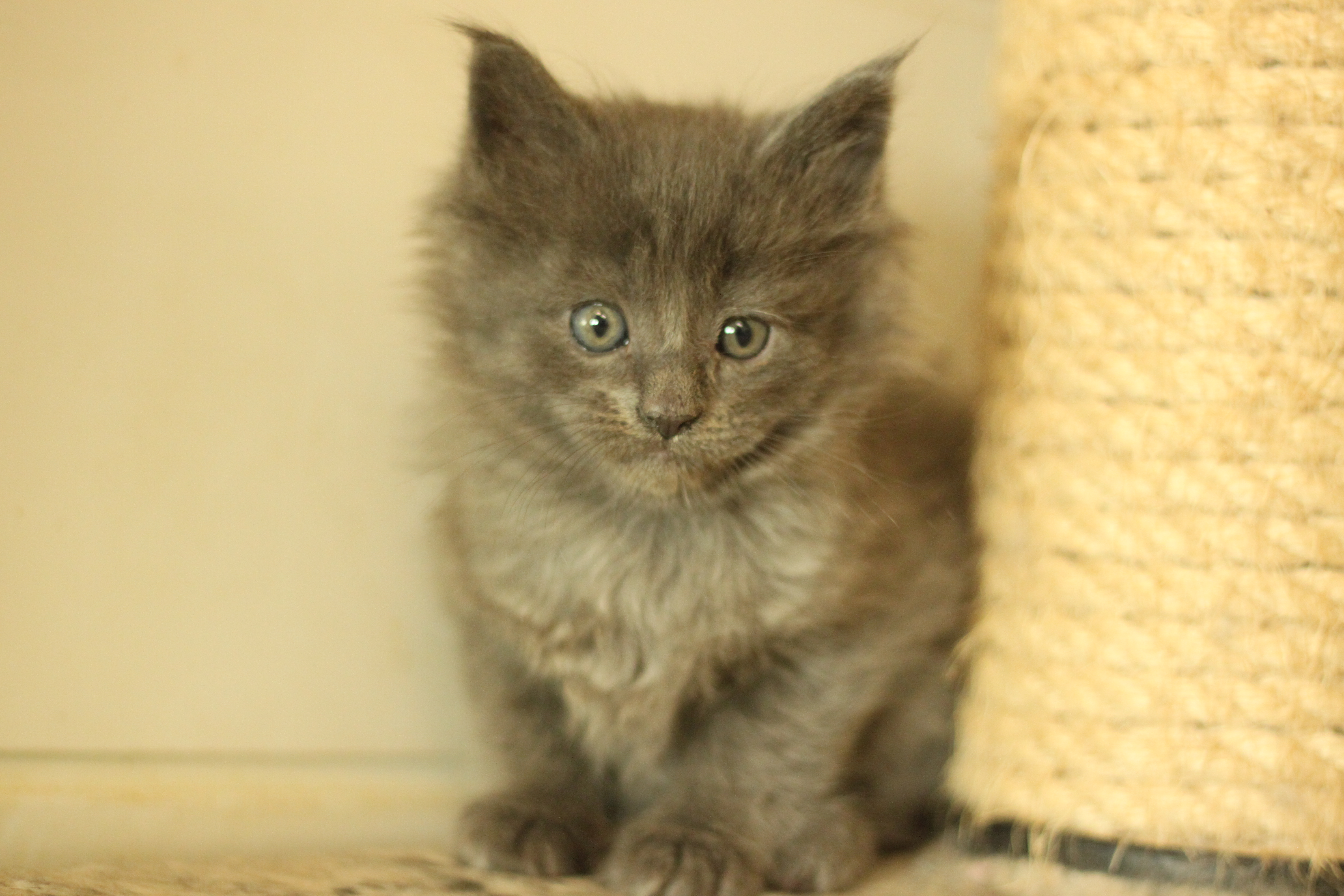 Naissance du 27 février 2026