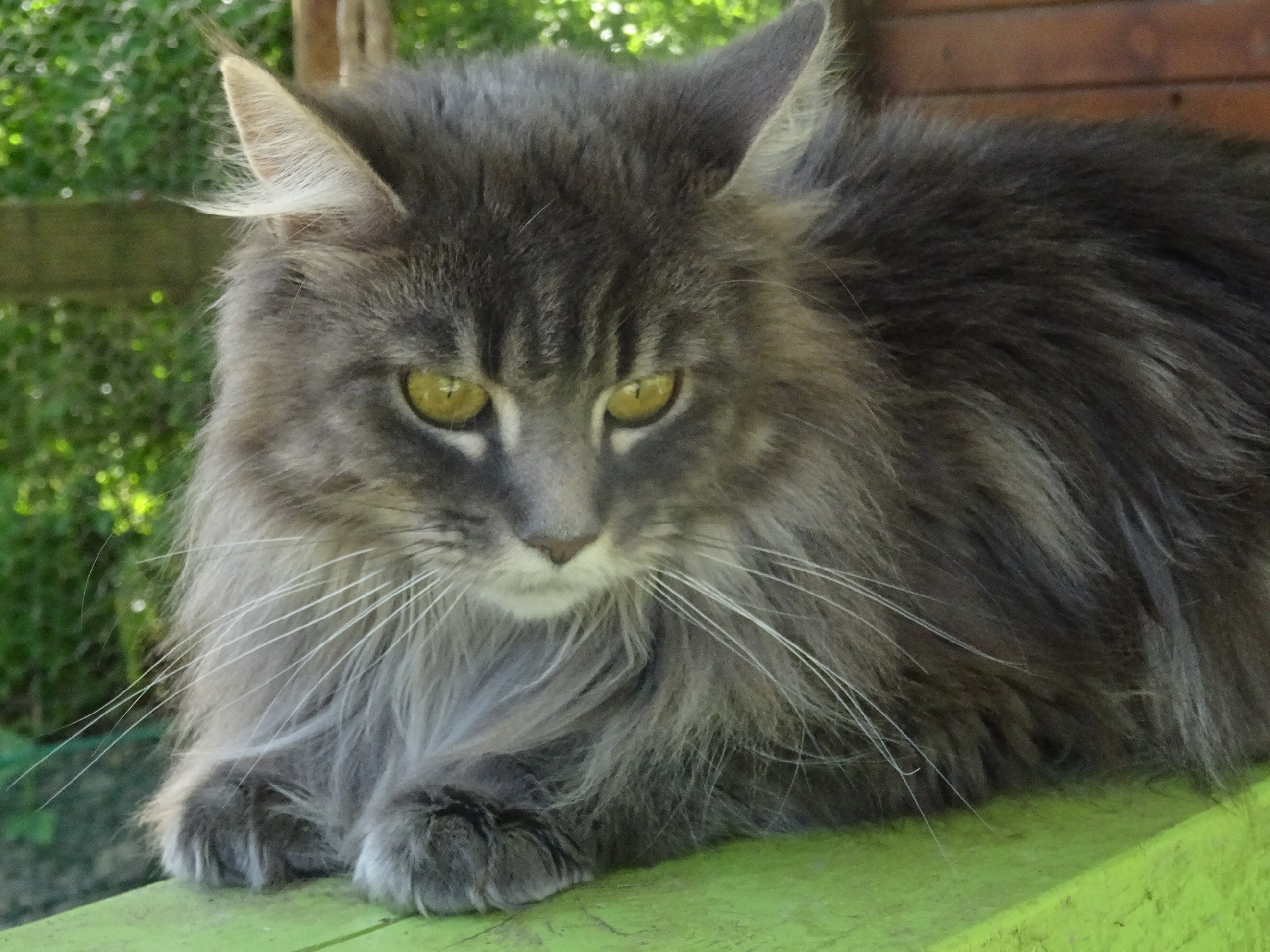Dsc00204