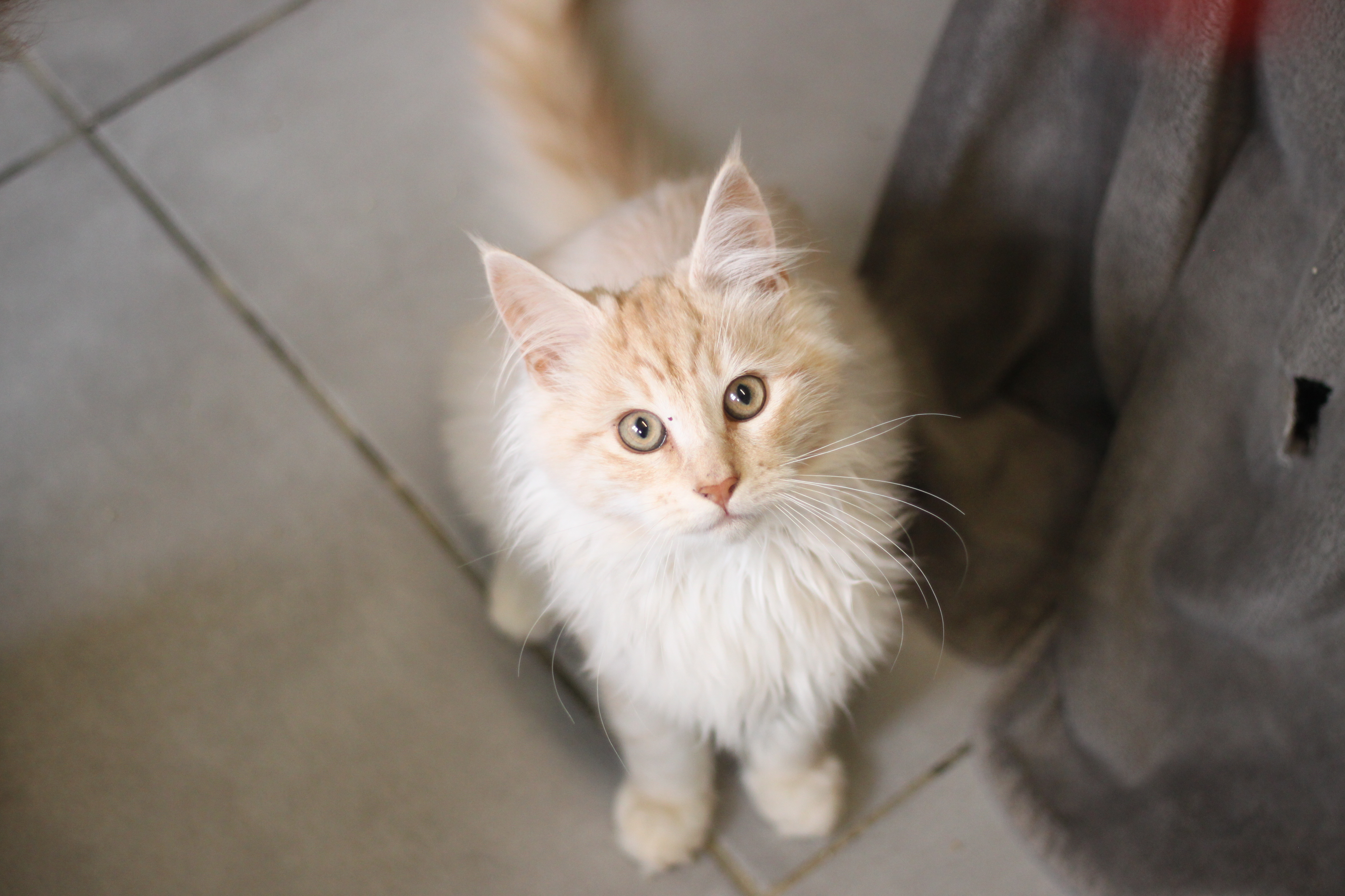 Naissance du 12 juillet 2025